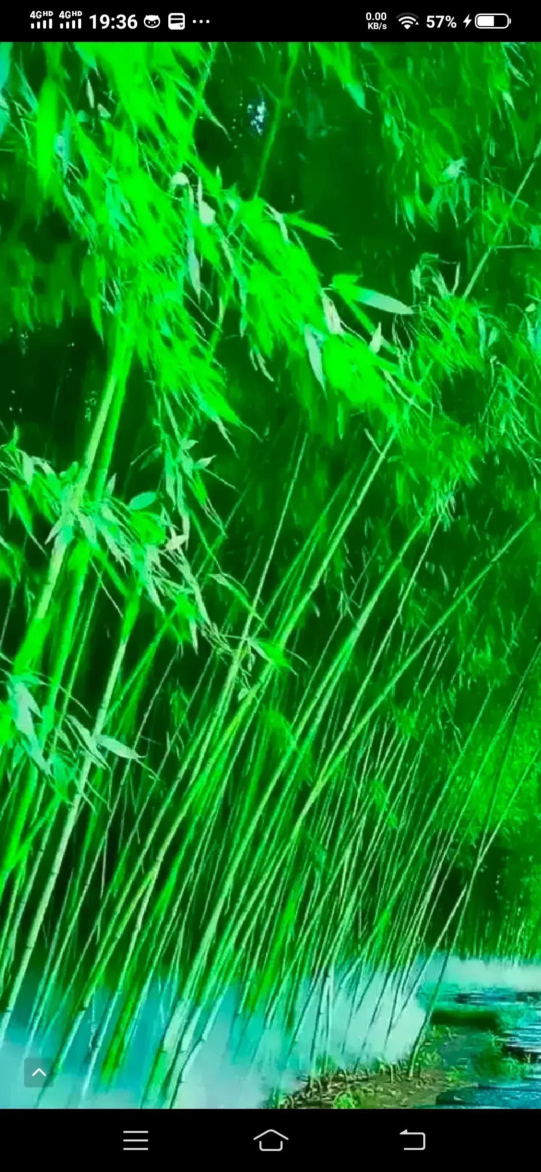 摆地摊日入9000租金,摆地摊日入一千