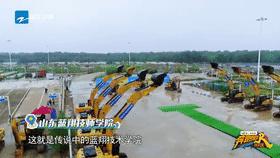 山东蓝翔技师学院入学条件,山东蓝翔技师学院招外省的吗