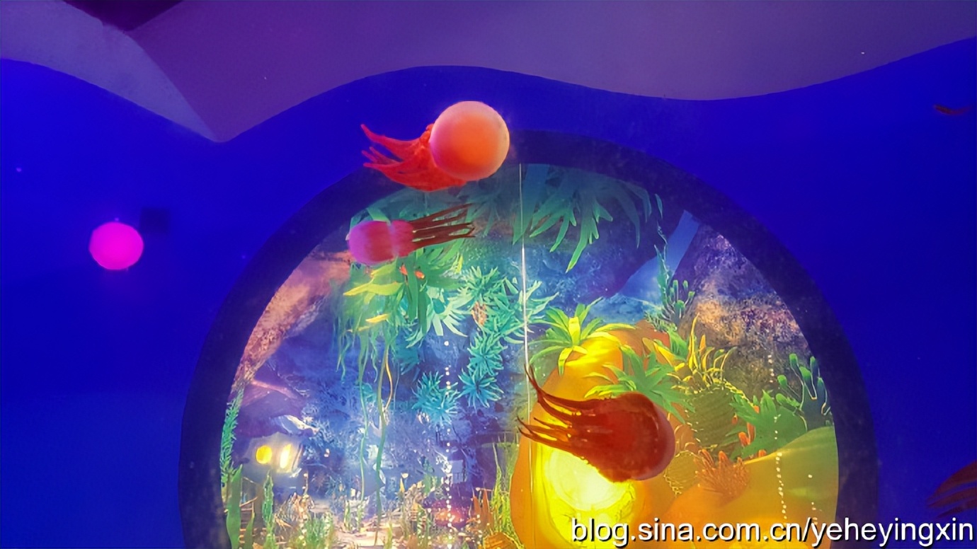 深圳东部华侨城视频,东部华侨城门票团购