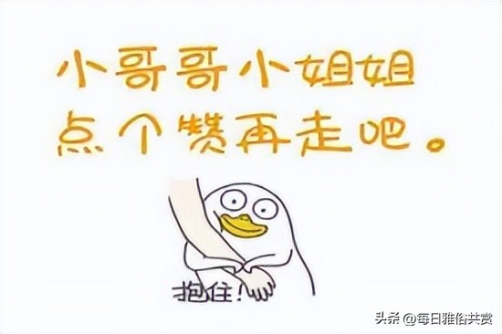 【盐选神回复】爱了爱了