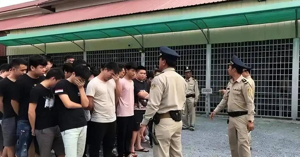 缅北军阀电信诈骗,军阀打击电诈