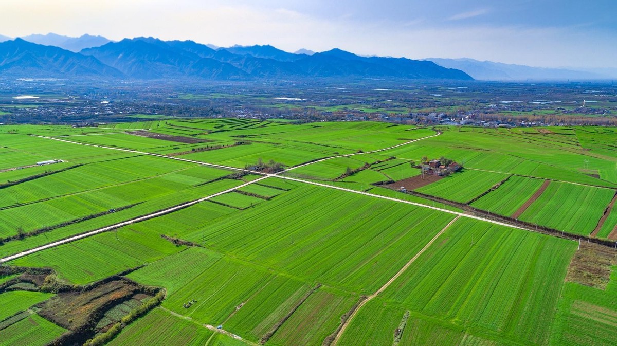天朗集团董事长孙茵是哪里人,天朗地产孙茵哪年的