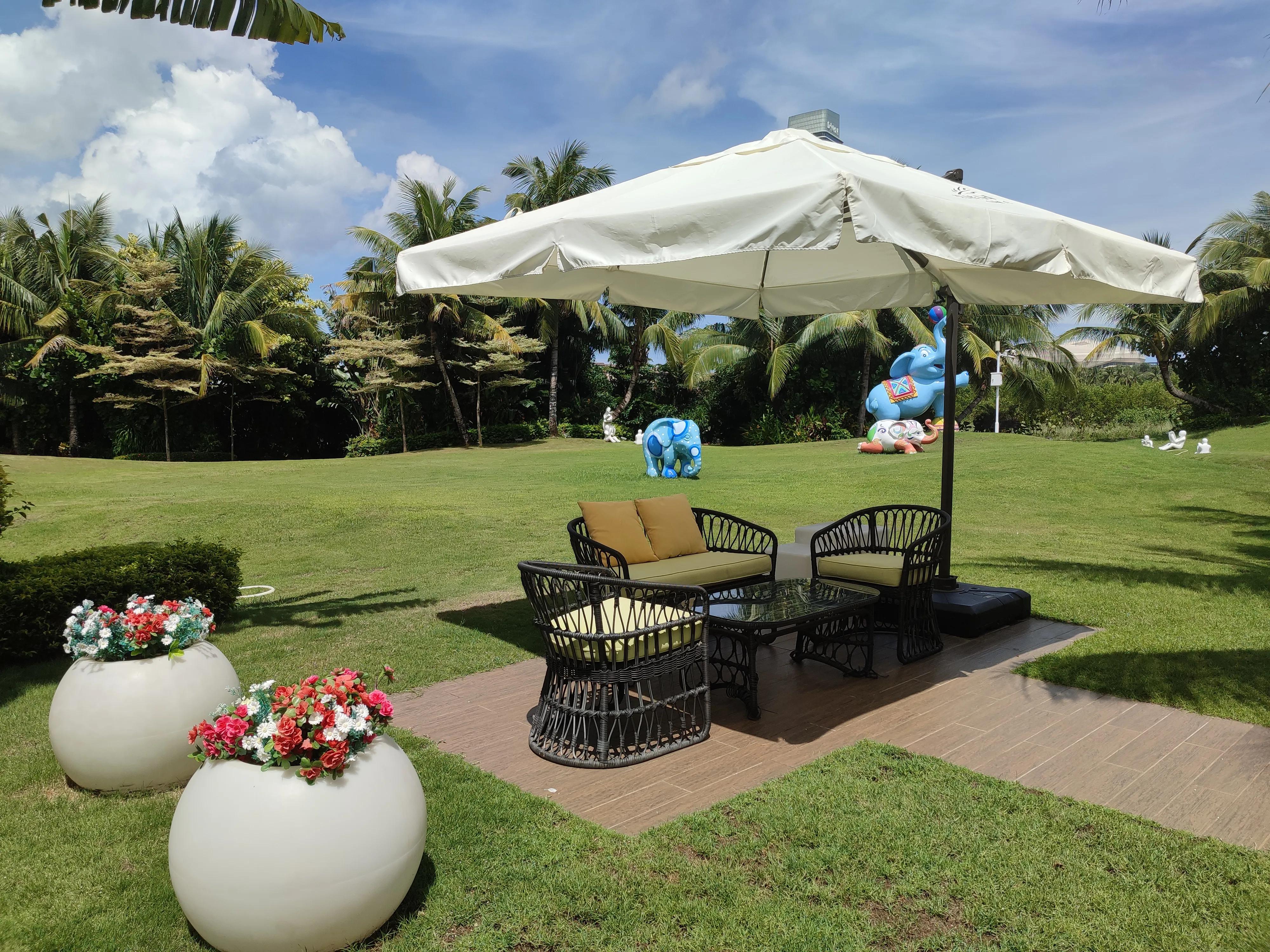 水泥地种上农作物造假的事件,水泥地铺假草坪方法