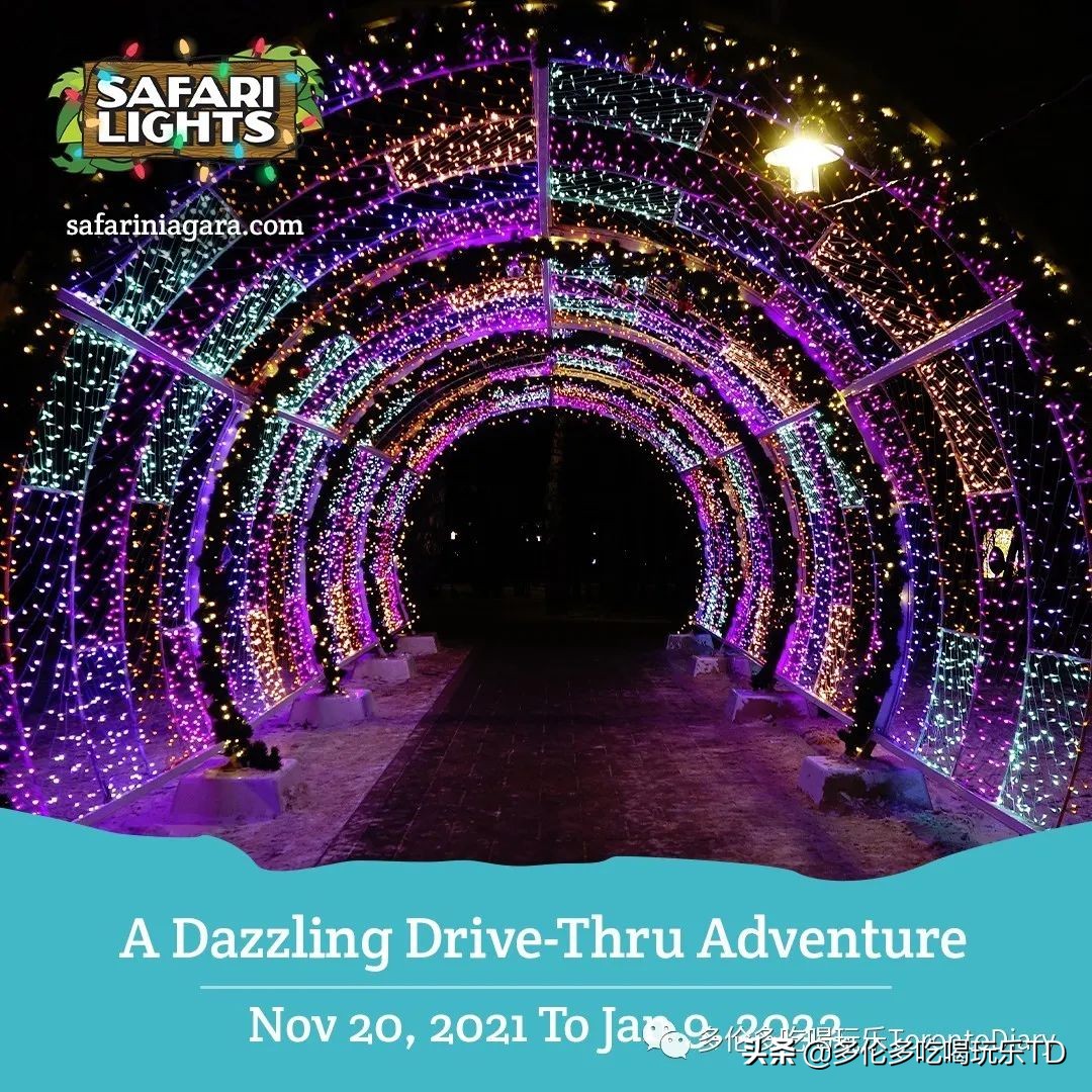 周末实惠的游乐地方,周末优惠力度更大