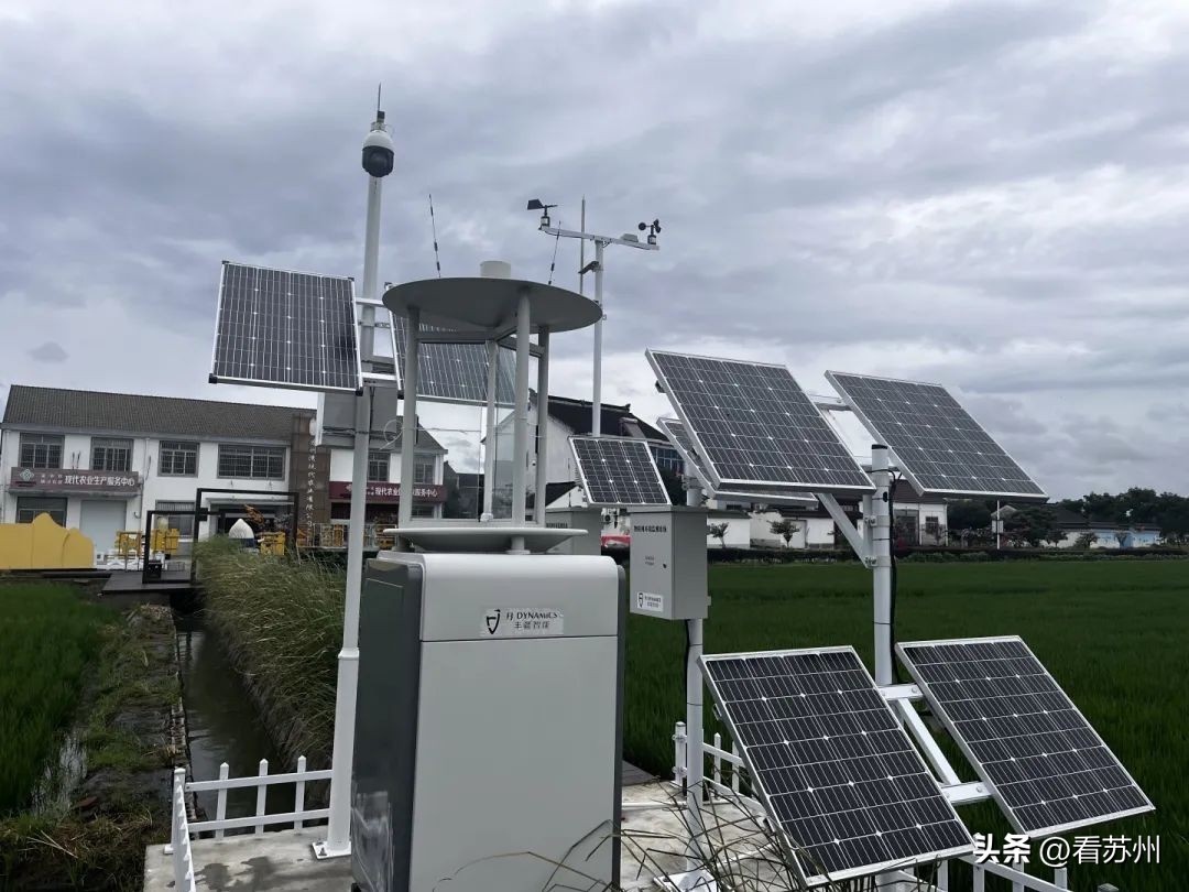 苏州湾现代农业公司,苏州无人化农场视频