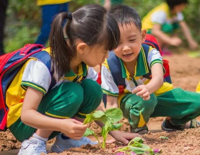抹不去的乡村记忆,怀旧乡村记忆