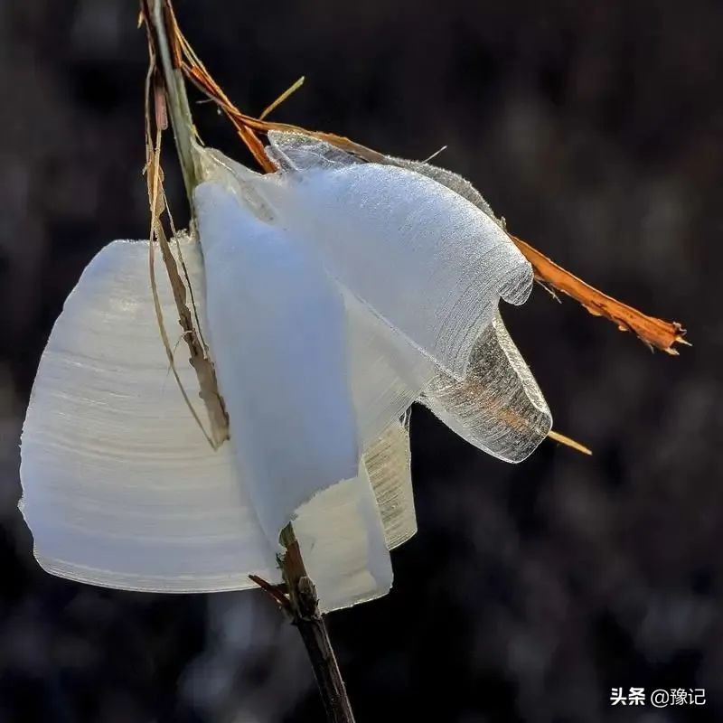 鹤壁不起眼的好吃小店,鹤壁藏在居民楼的美食