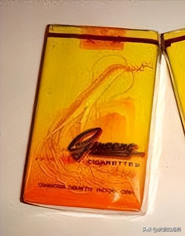 六七十年代父辈们怀旧的老牌香烟,几毛钱都是奢侈品,你们认得吗