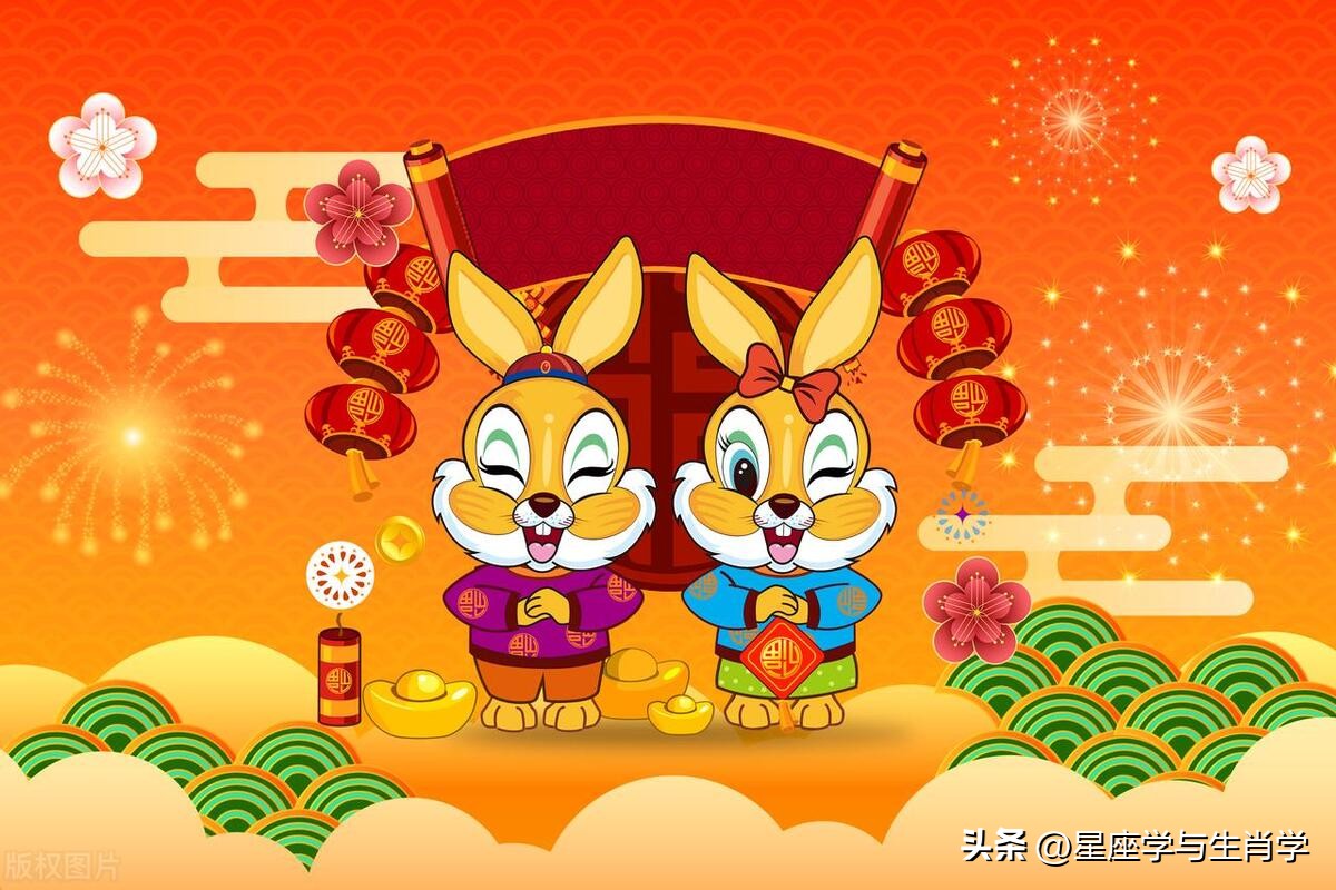 生肖兔不同年份属兔人2023年运势,生肖兔在2023兔年如何转变运势