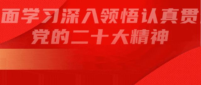 乡村振兴背景下的产业与项目发展,3个亿的乡村振兴项目能挣多少钱