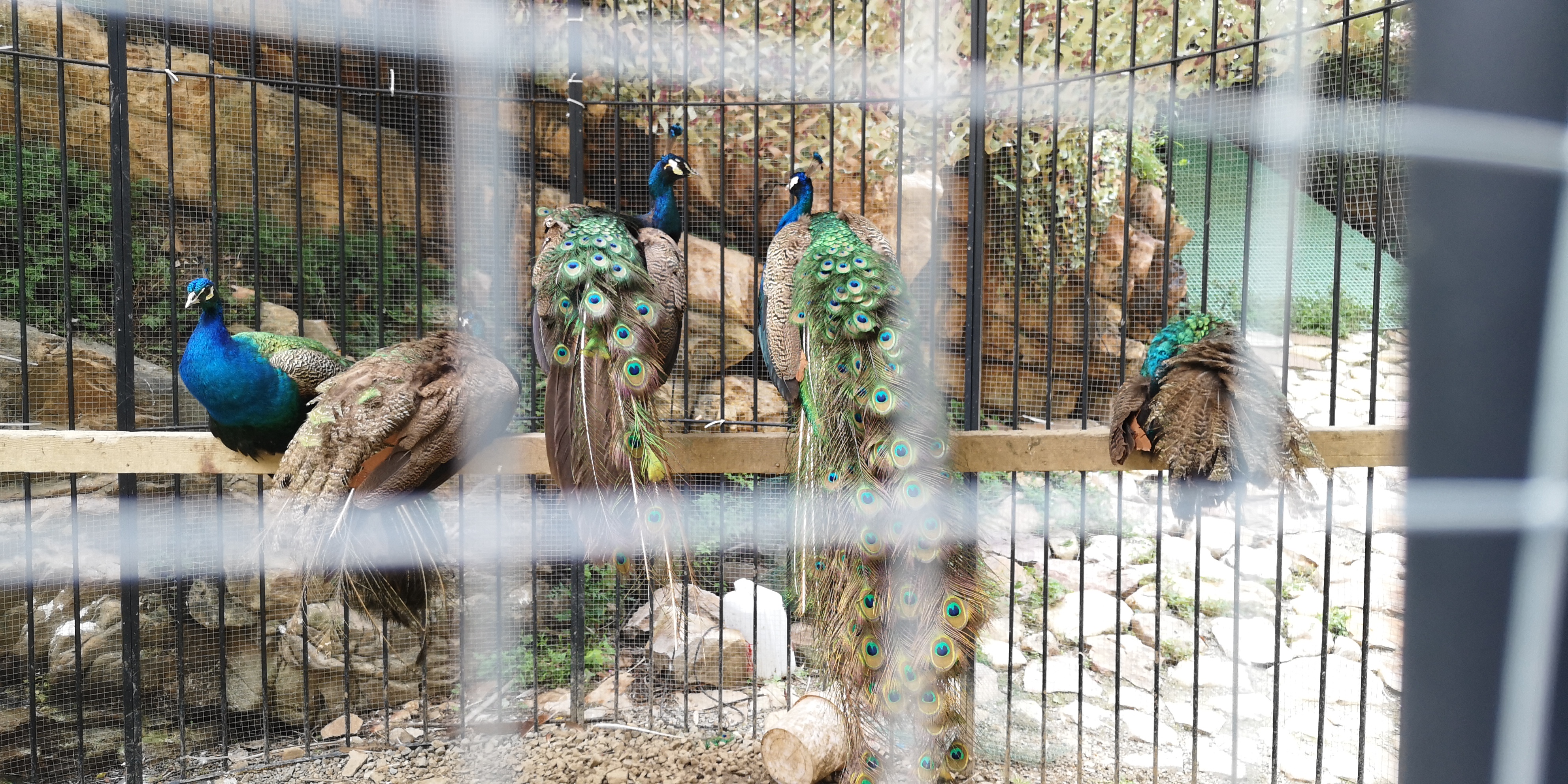 天津上乐园蓟县旅游攻略,天津蓟州太平寨旅游