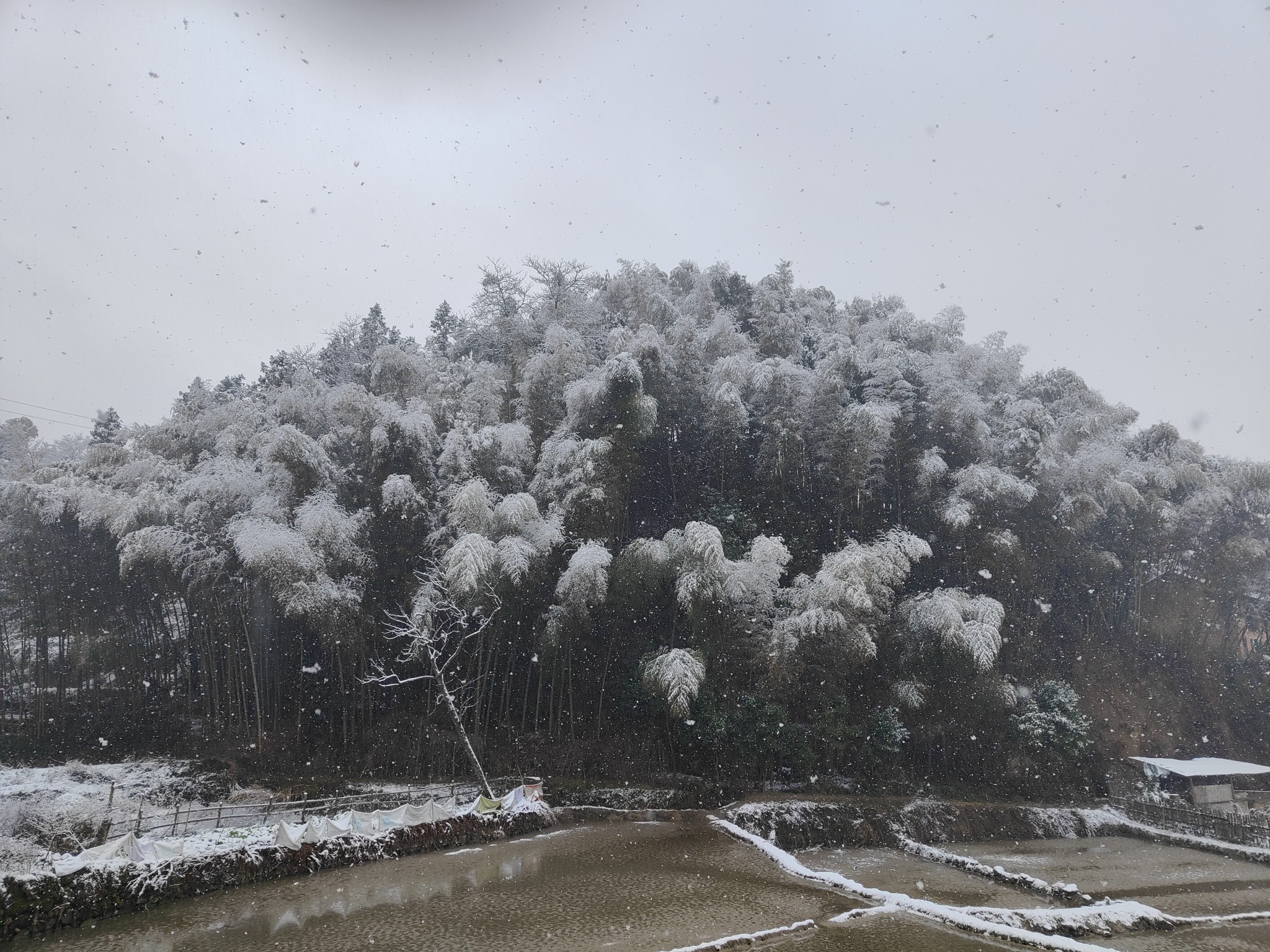 realmegt2pro摄像评测,realmegt2pro相机评测