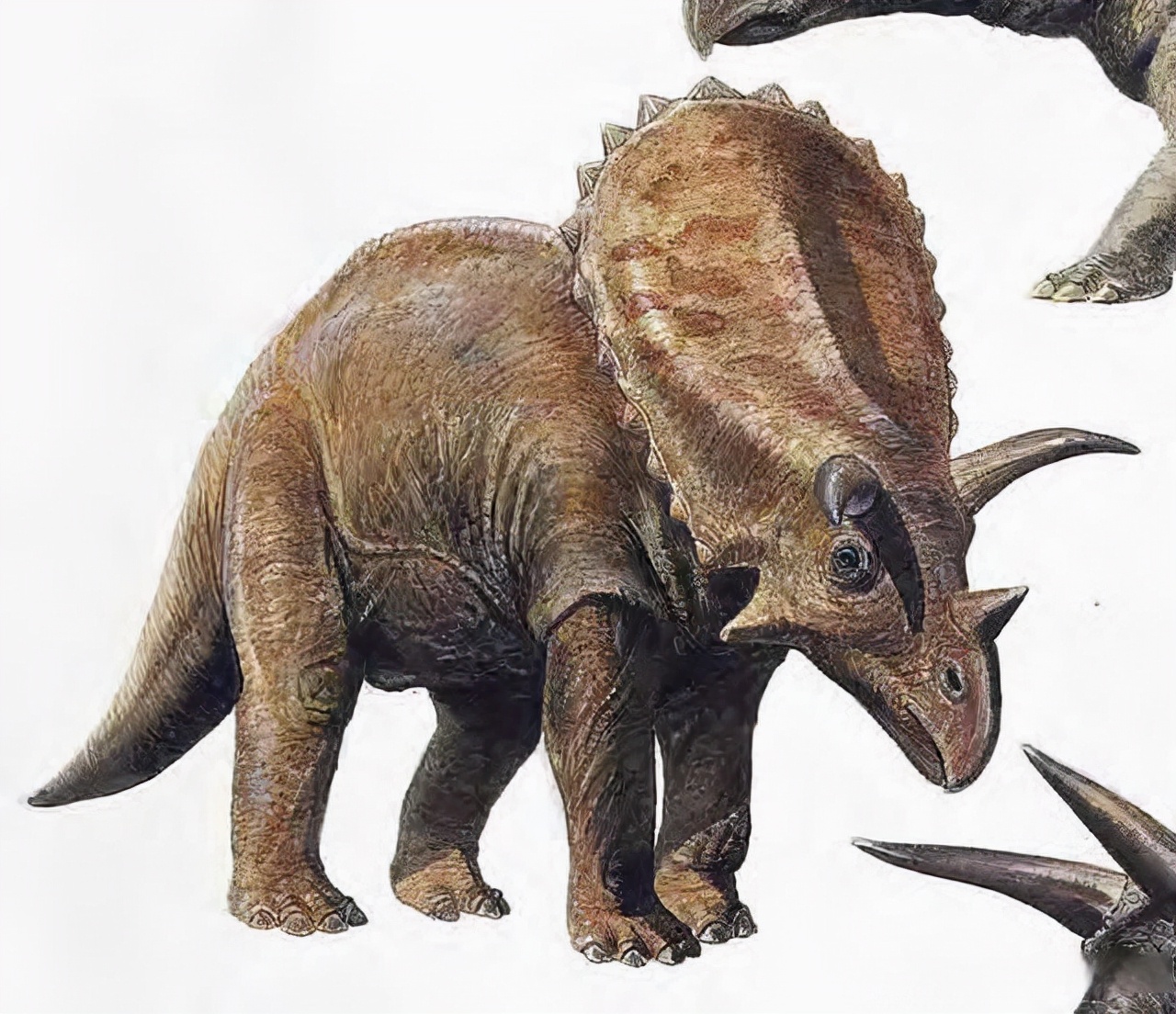 盘点十种能秒杀霸王龙的恐龙,十大比霸王龙厉害的恐龙