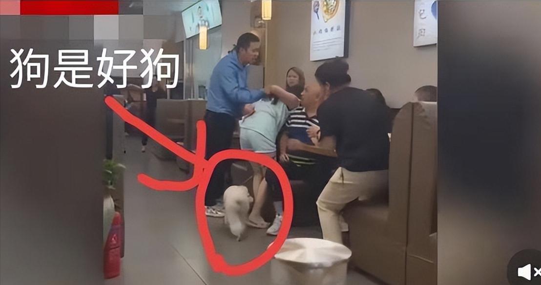 西安养狗打人事件,陕西西安狗主人打人结果