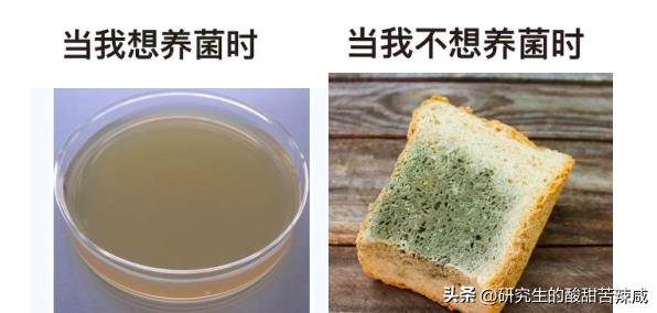 你可能不信：我爸在家里泡姜的图，能气死五个博士