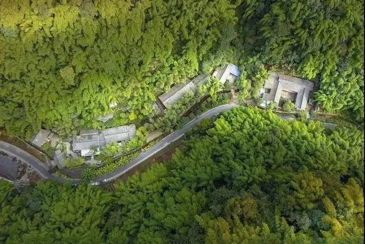 邛崃川西竹海攻略,邛崃竹海徒步攻略