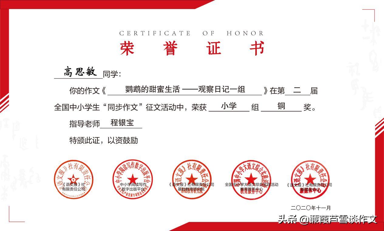 阿宝老师作文,获奖的小学作文300字