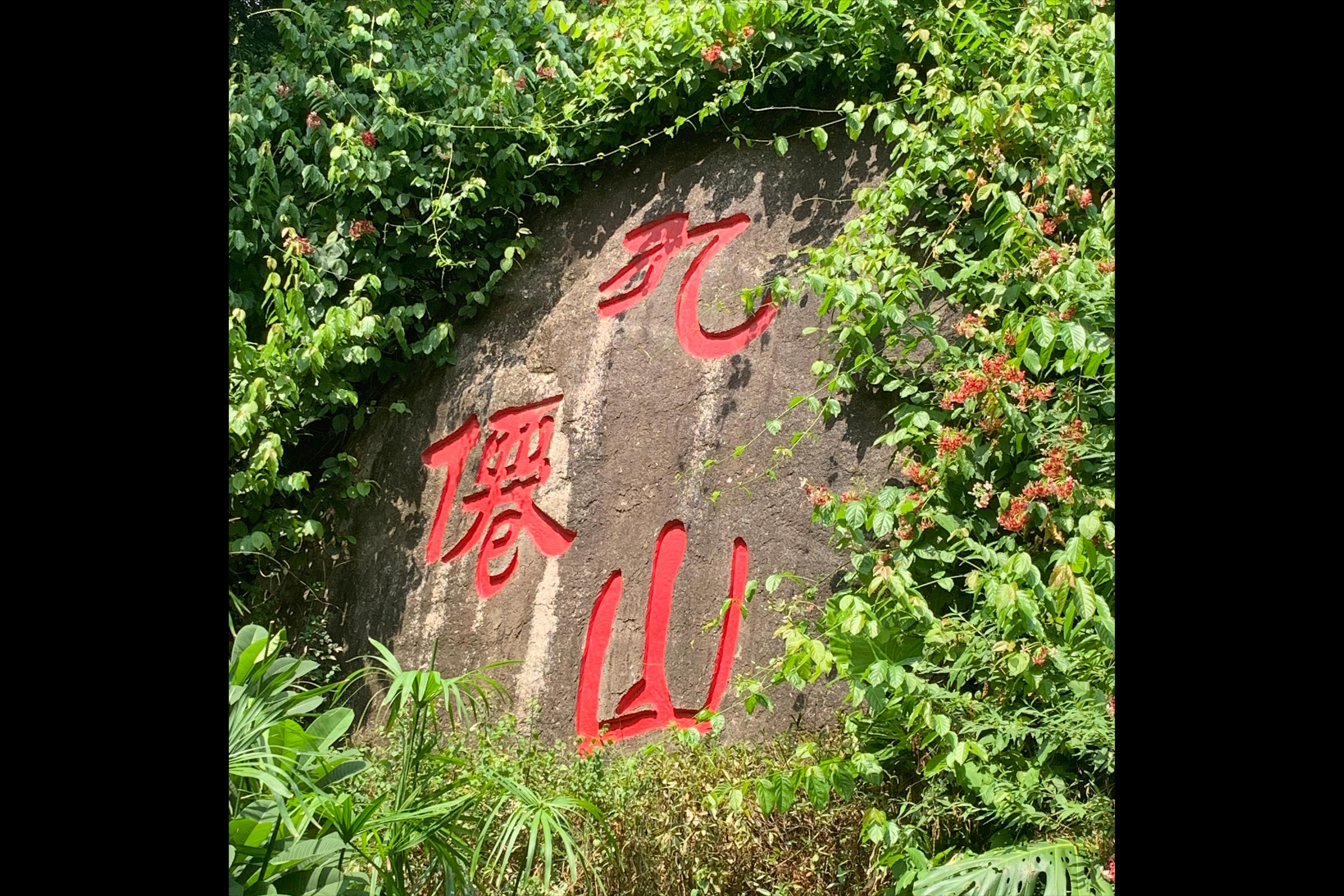 九阴真经神机谷,九阴真经水月洞天