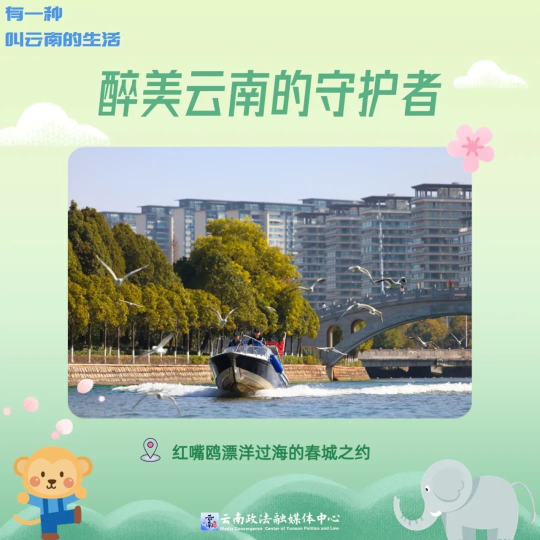 有一种叫云南的生活,有一种生活叫云南的生活