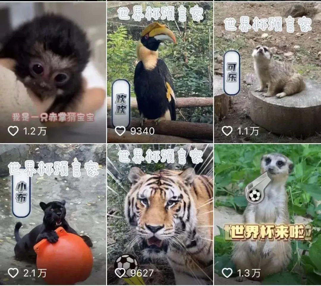 世界杯冠军首场翻车,世界杯输球过程