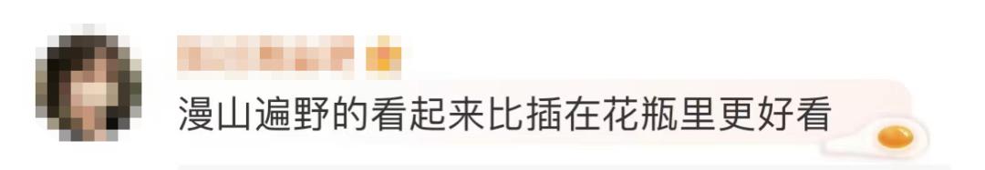 再次购买提示不能购买了,下次不要买这么多东西怎么回复