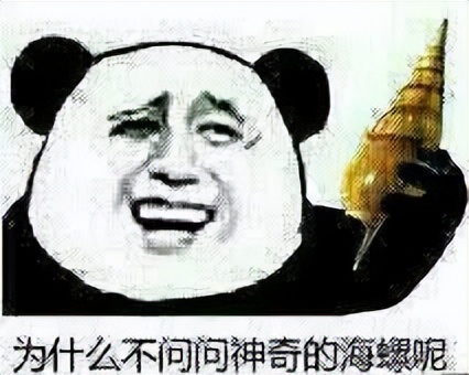 哪些手机有一英寸传感器,手机1.3英寸传感器和1英寸差距