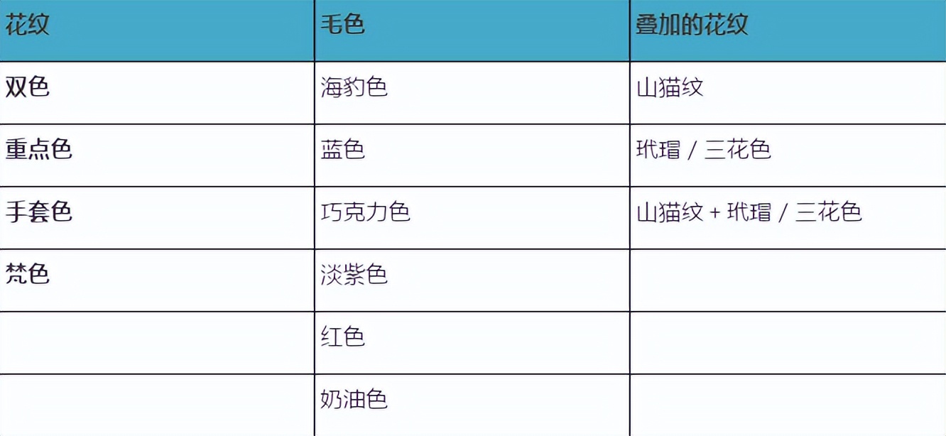 布偶猫什么是蓝双什么是海双,布偶猫种类英文