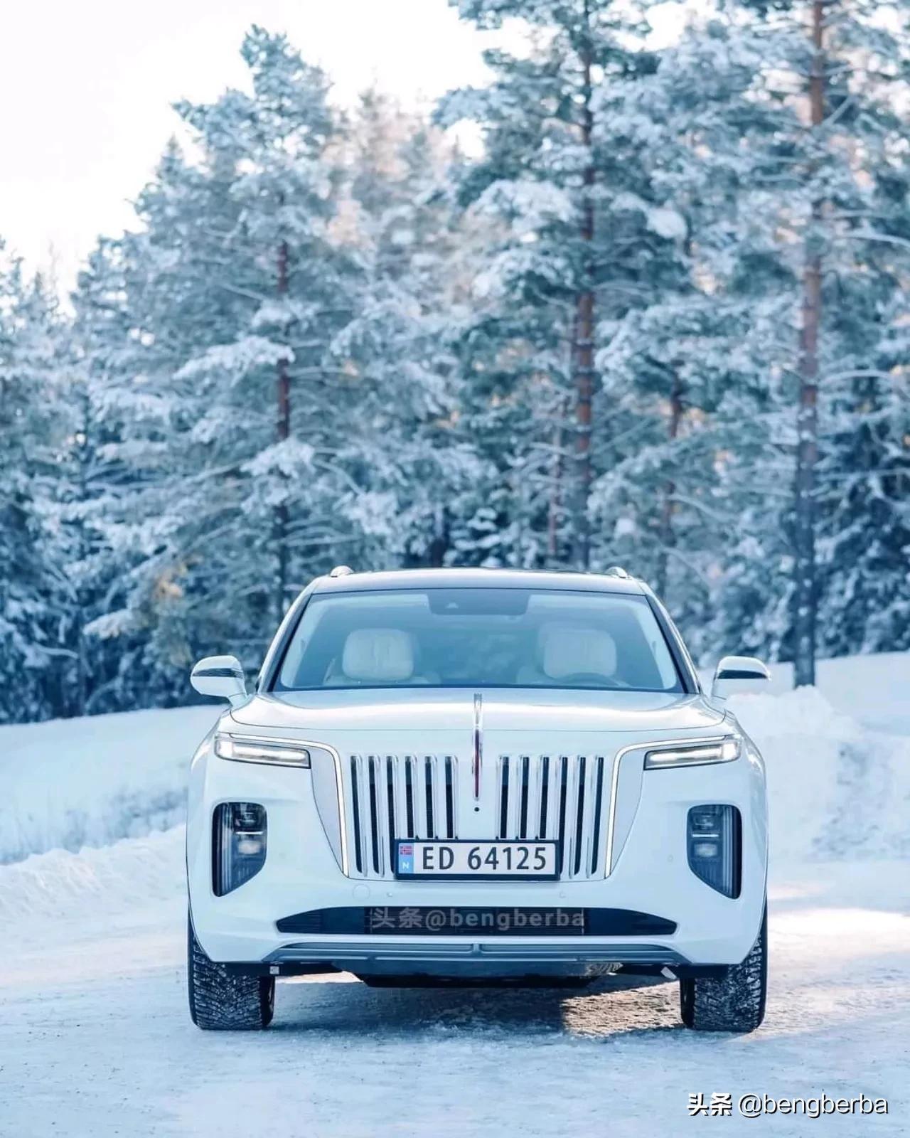 2022新款红旗e-hs9燃油版五座,红旗hs9出口多少钱