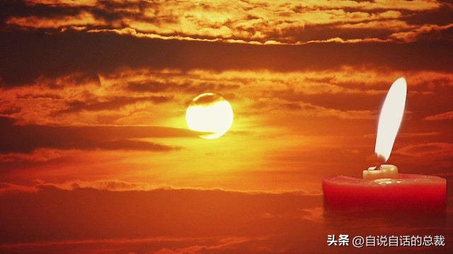 达芬奇一生最大的成就有哪些,达芬奇真实的故事