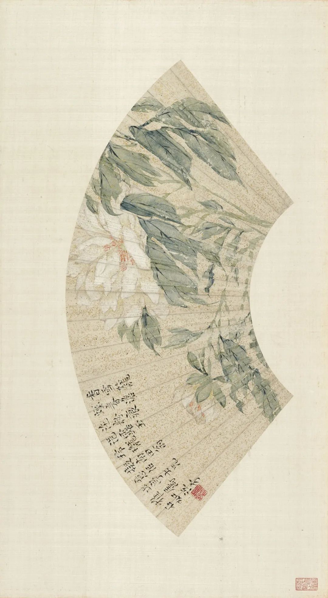 慕容看世界的视频,慕容看世界所有视频