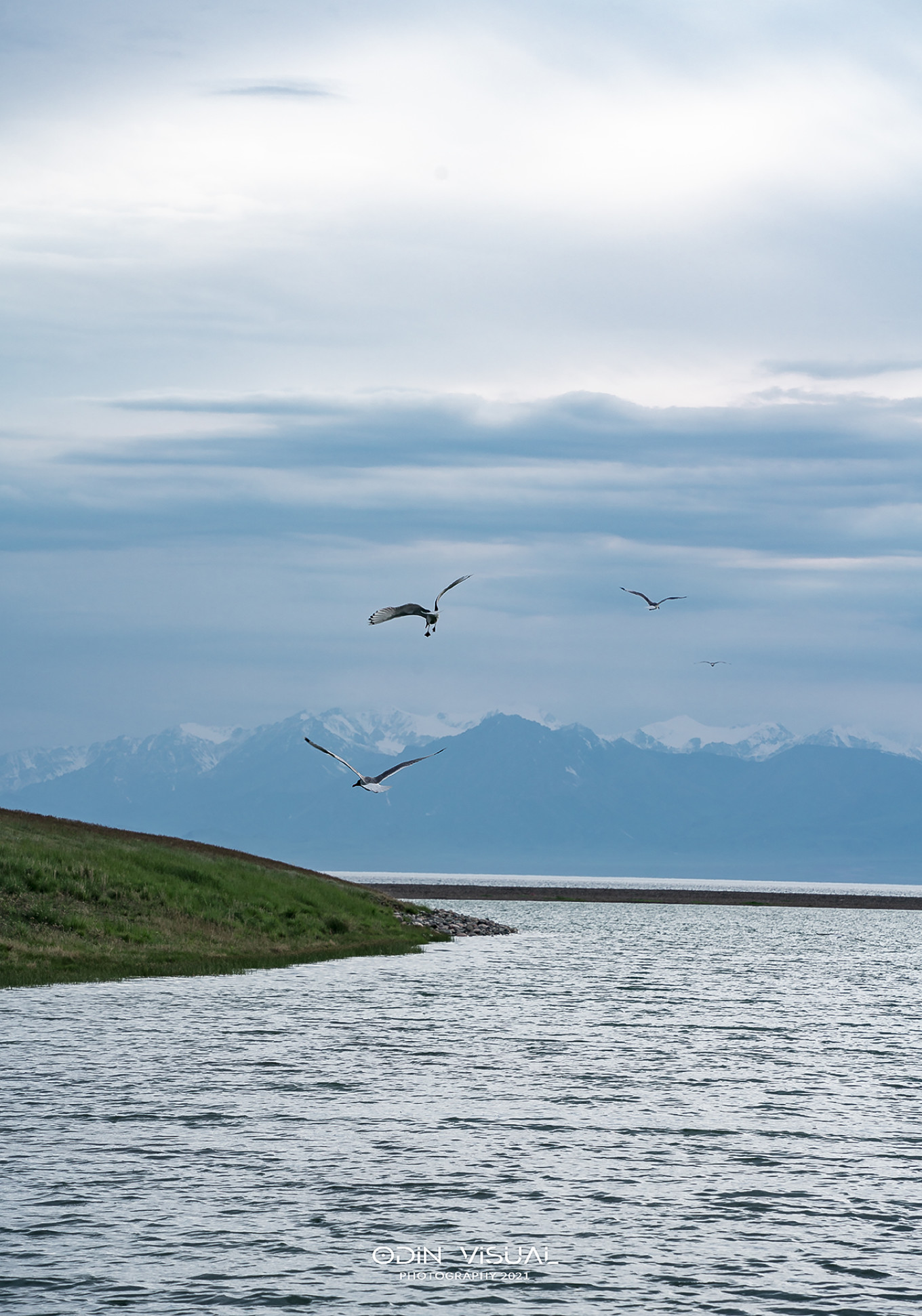 去新疆发现伊犁的美,世界之美尽在伊犁