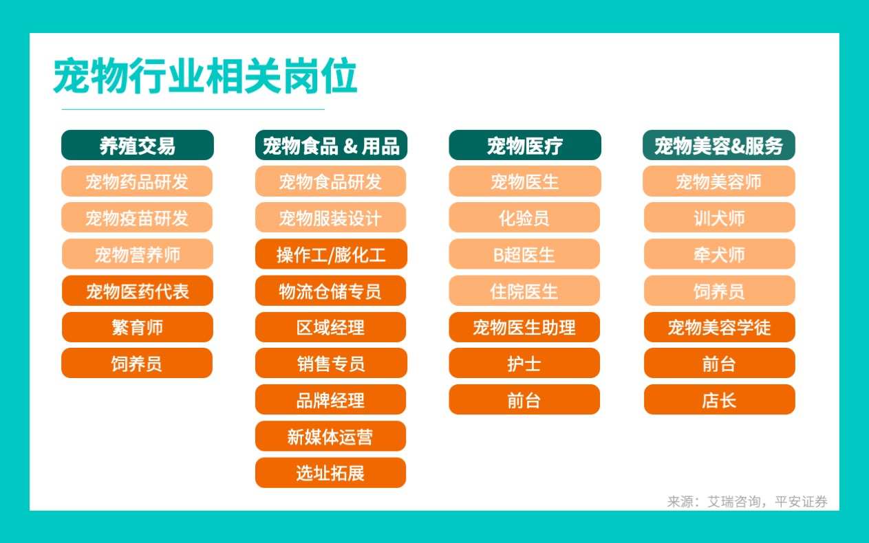 千亿市场、月薪过万,宠物美容是个暴利的好差事?
