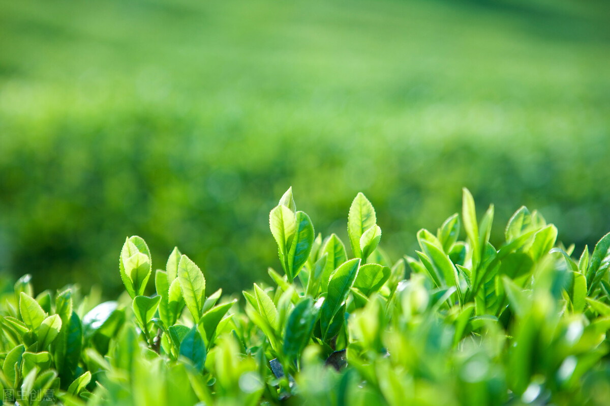 清都的原创诗词，4年作品合集，用文字记录生活