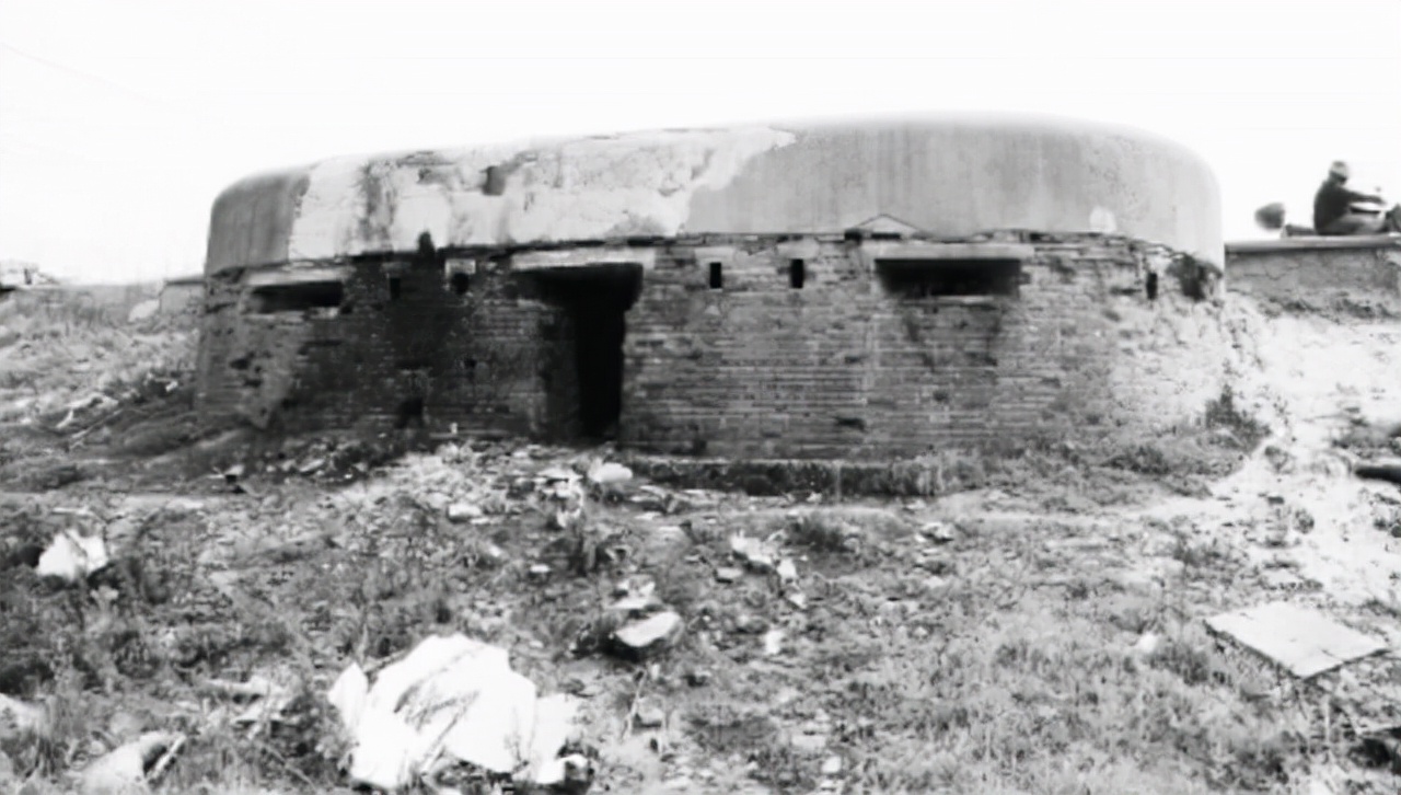 越战英雄退伍回家被暴打,被保安殴打的越战英雄