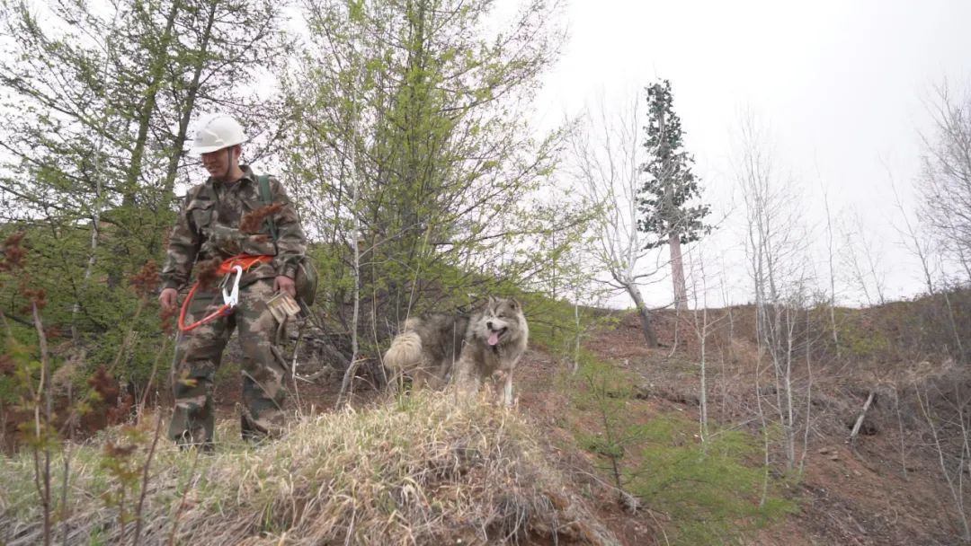 额尔古纳奇人之高擎青春火炬的柴瑞峰