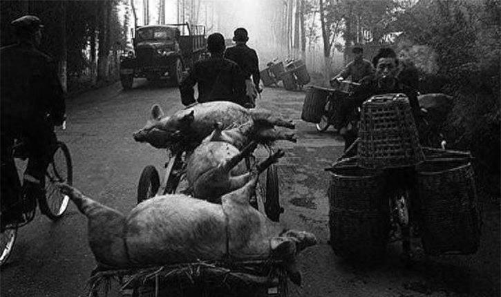 六七十年代最令人羡慕的工作，你经历过没有，现在怎么样？