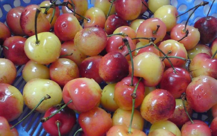 摄影里面的锐利是什么,摄影焦距的基础知识