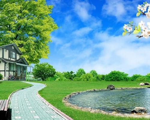 兴趣是最好的老师作文记叙文,兴趣是最好的老师高中作文800字