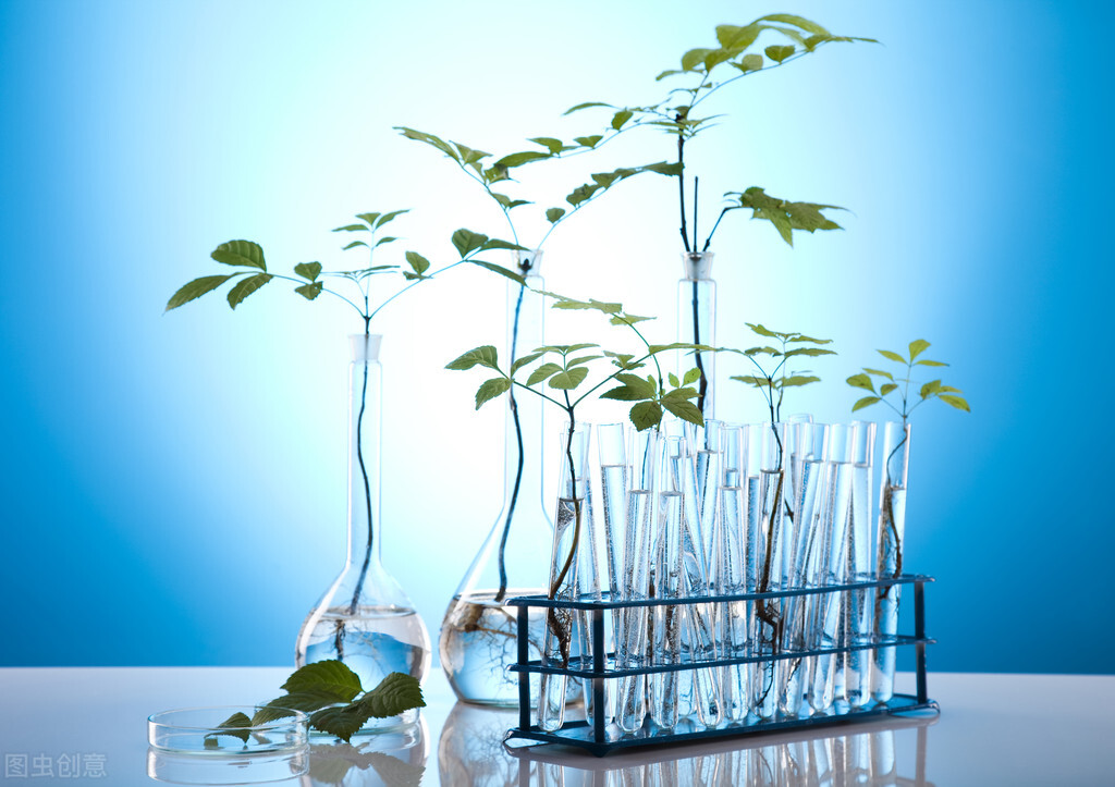 拿在手上也没多大用，实验室里还保留了一些样本