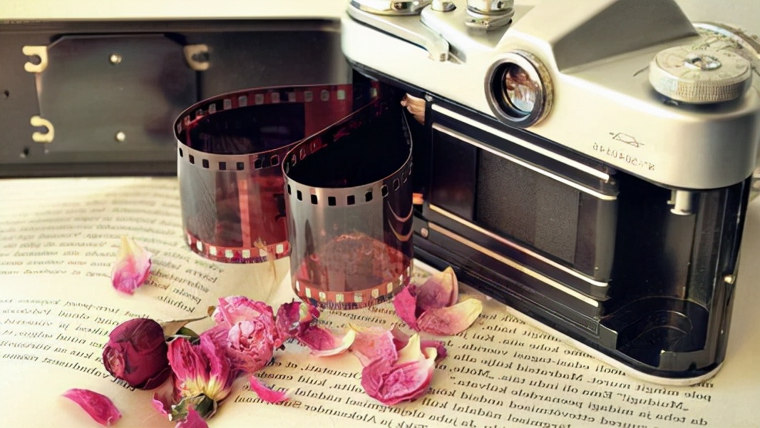 人世间最难的就是爱情,人世间最难的是宽恕