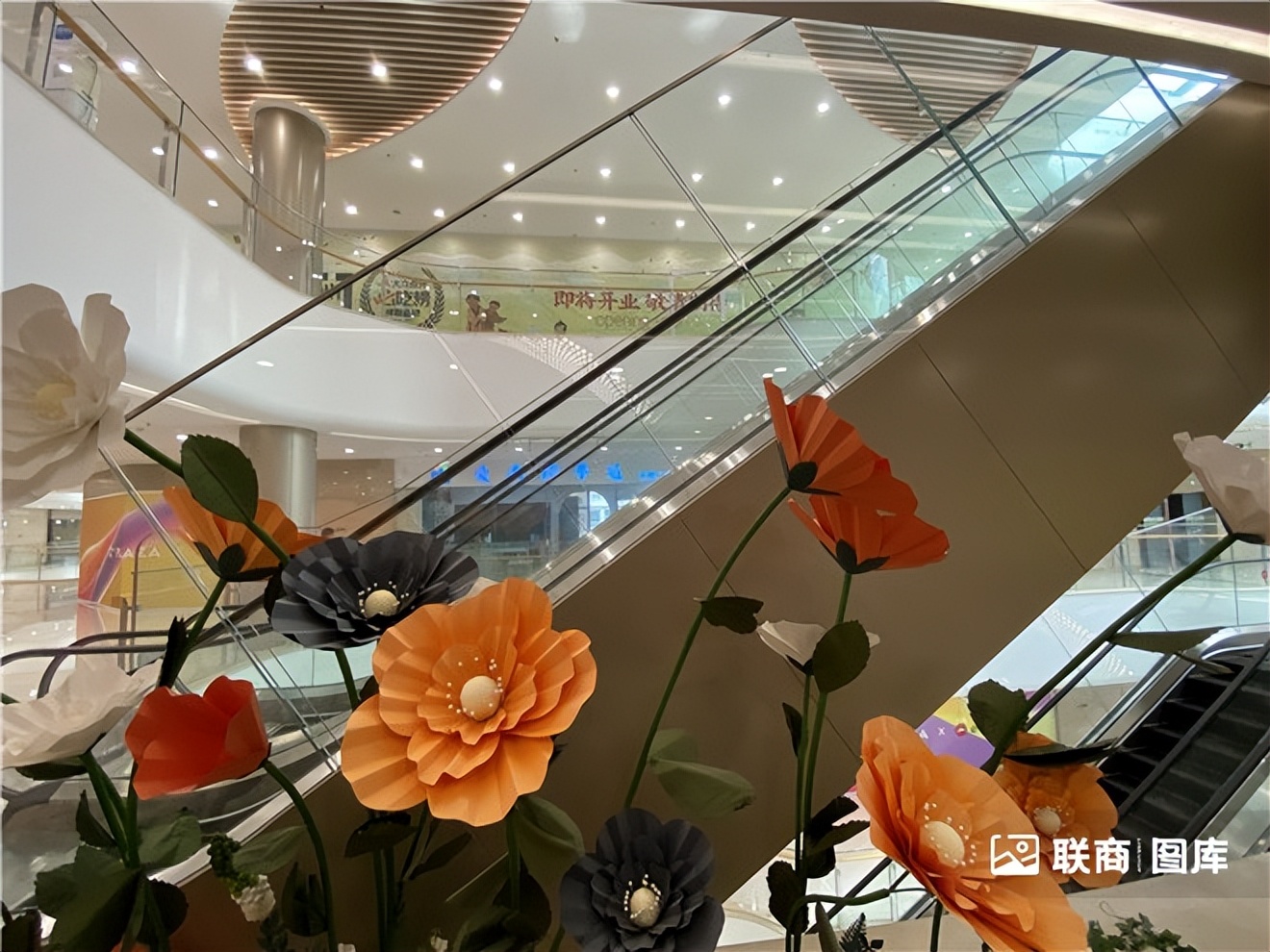 “鸽王”、潮玩街区…实探杭州近期新开的三个商场