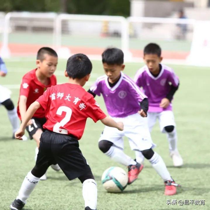 校园竞技体育的魅力,校园青春比赛