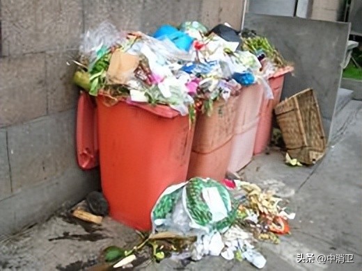 虫害控制的最新标准,虫害控制预防分哪几个阶段