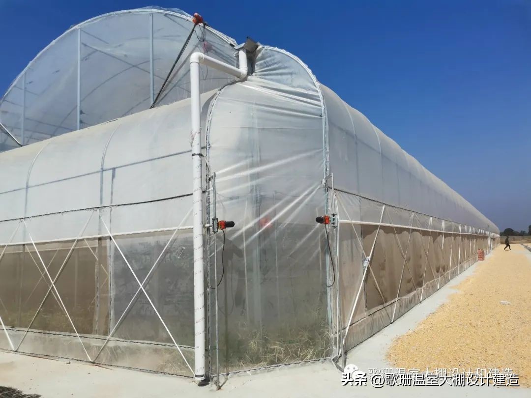 河南热门连栋温室大棚项目,河南蔬菜连栋温室大棚建造