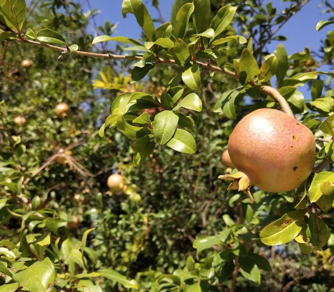 看赵云庙感受,赵云庙景区简介图片欣赏