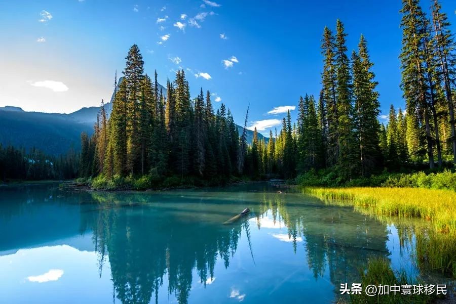 移民加拿大后，可以在加拿大任意城市居住么？