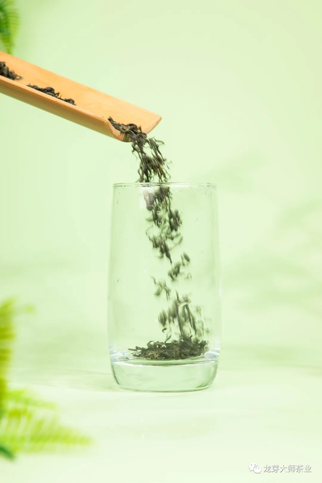 绿茶的质量优劣的鉴别方法有,假的绿茶怎么辨别