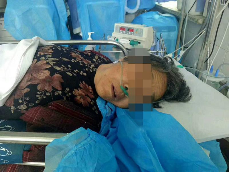 卫生间小飞虫的危害程度超乎你的想象,它究竟是啥?该如何消灭?