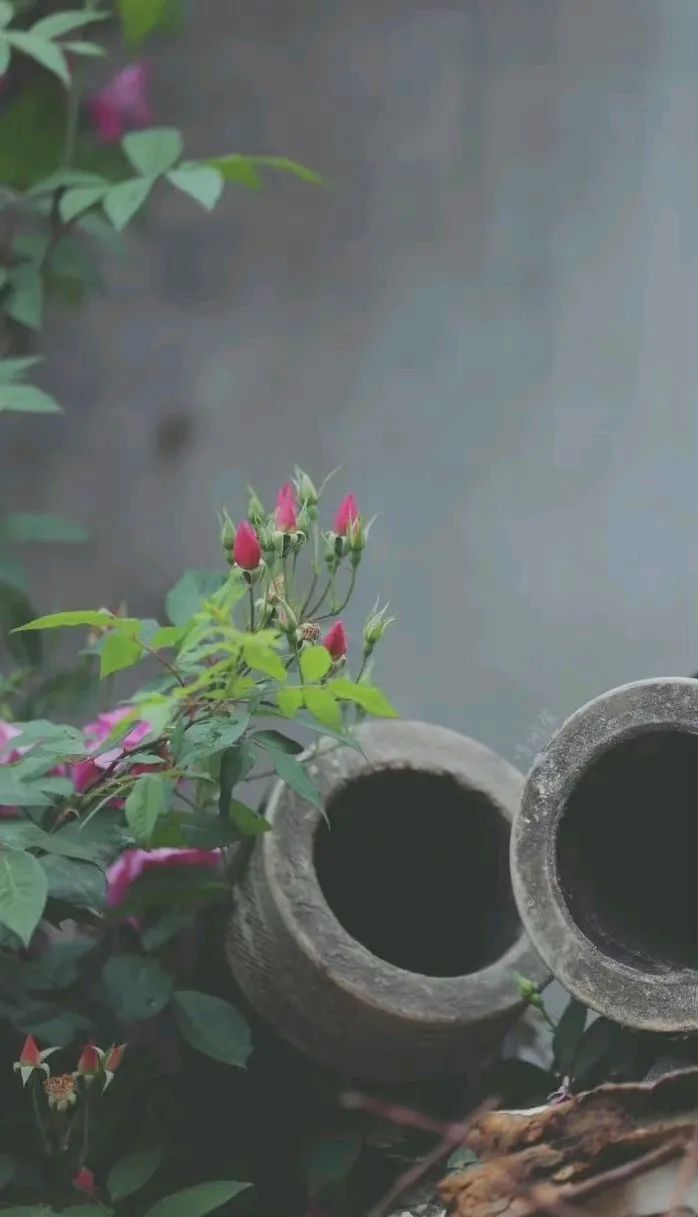 怎么才够温柔,怎么才能变得肯说话