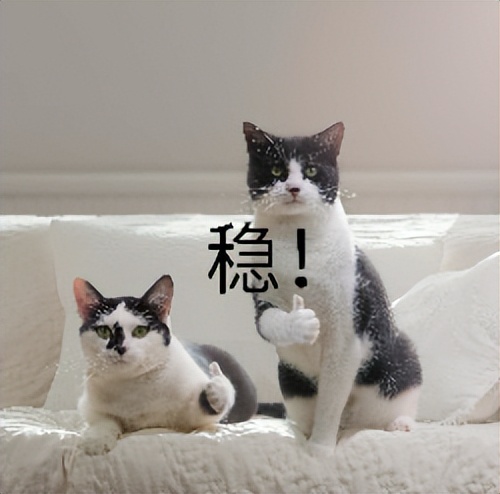 从小白到面霸主讲人是谁,从小白到面霸